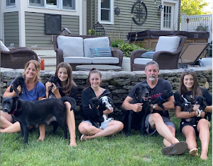 Meet our family of 7, 3 girls and a few rescue dogs