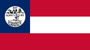 Fighting Under the Tennessee Flag