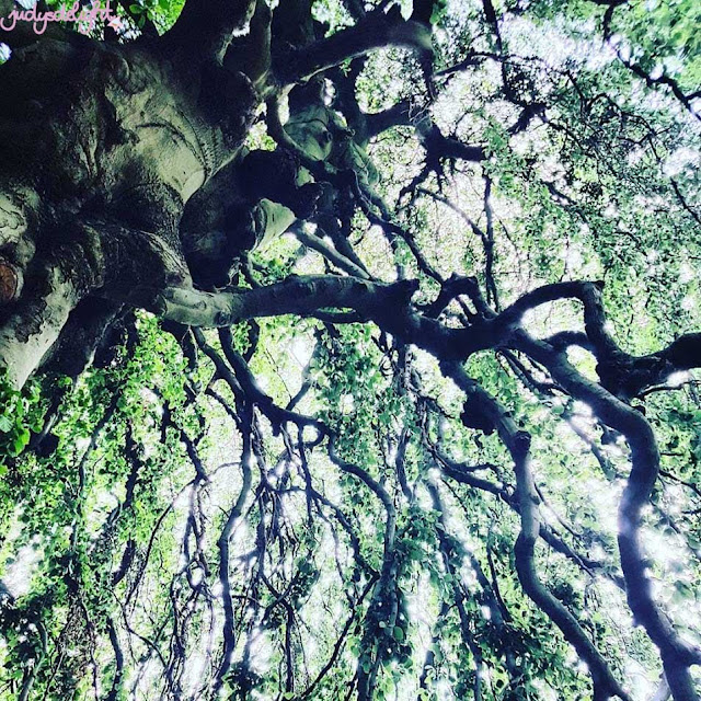 Konzerttagebuch Squalloscope Karlsruhe 12 12 13