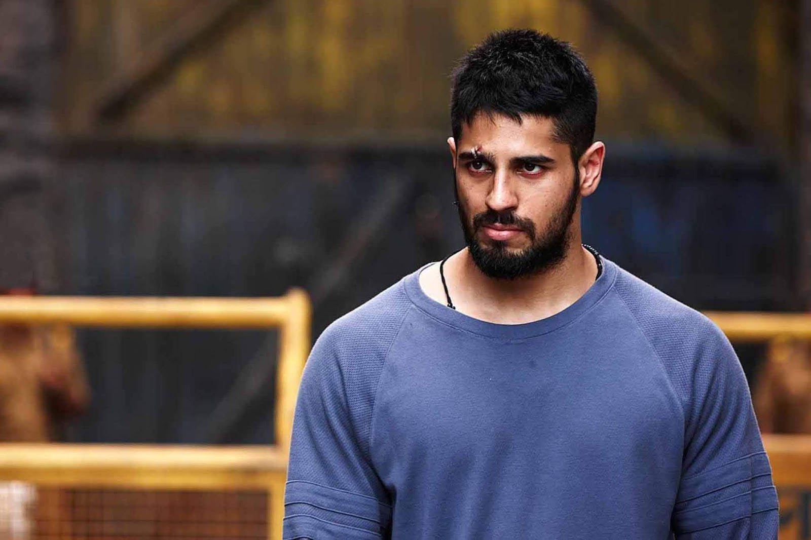 Siddharth Malhotra hot HD Wallpaper and Photo Gallery