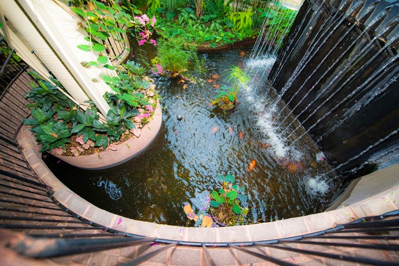 Peranan Air Terjun pada Kolam Koi