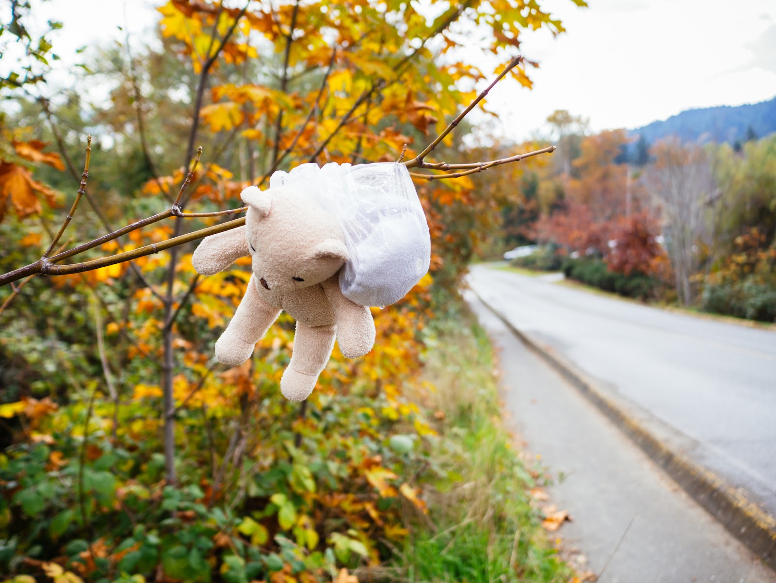 Salt Spring Island 