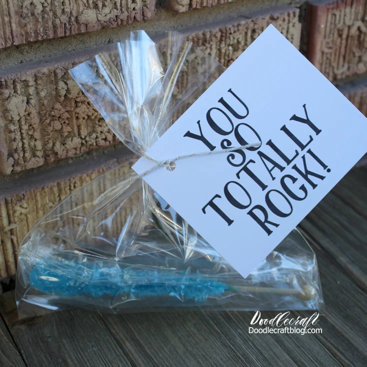 Quick and Easy Teacher and Neighbor Gifts plus a Hack! - Pretty Real