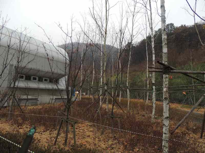 원주 구룡사 원주 구룡사