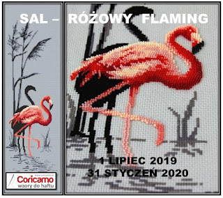 Różowy flaming