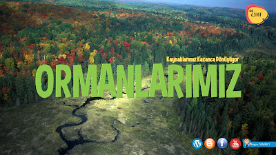 [Resim: 2019-02-24_125306.jpg]