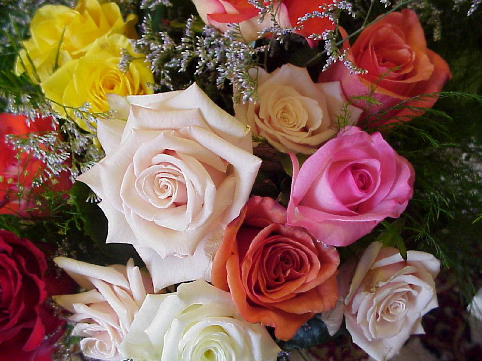 Color Roses for Mother's Day