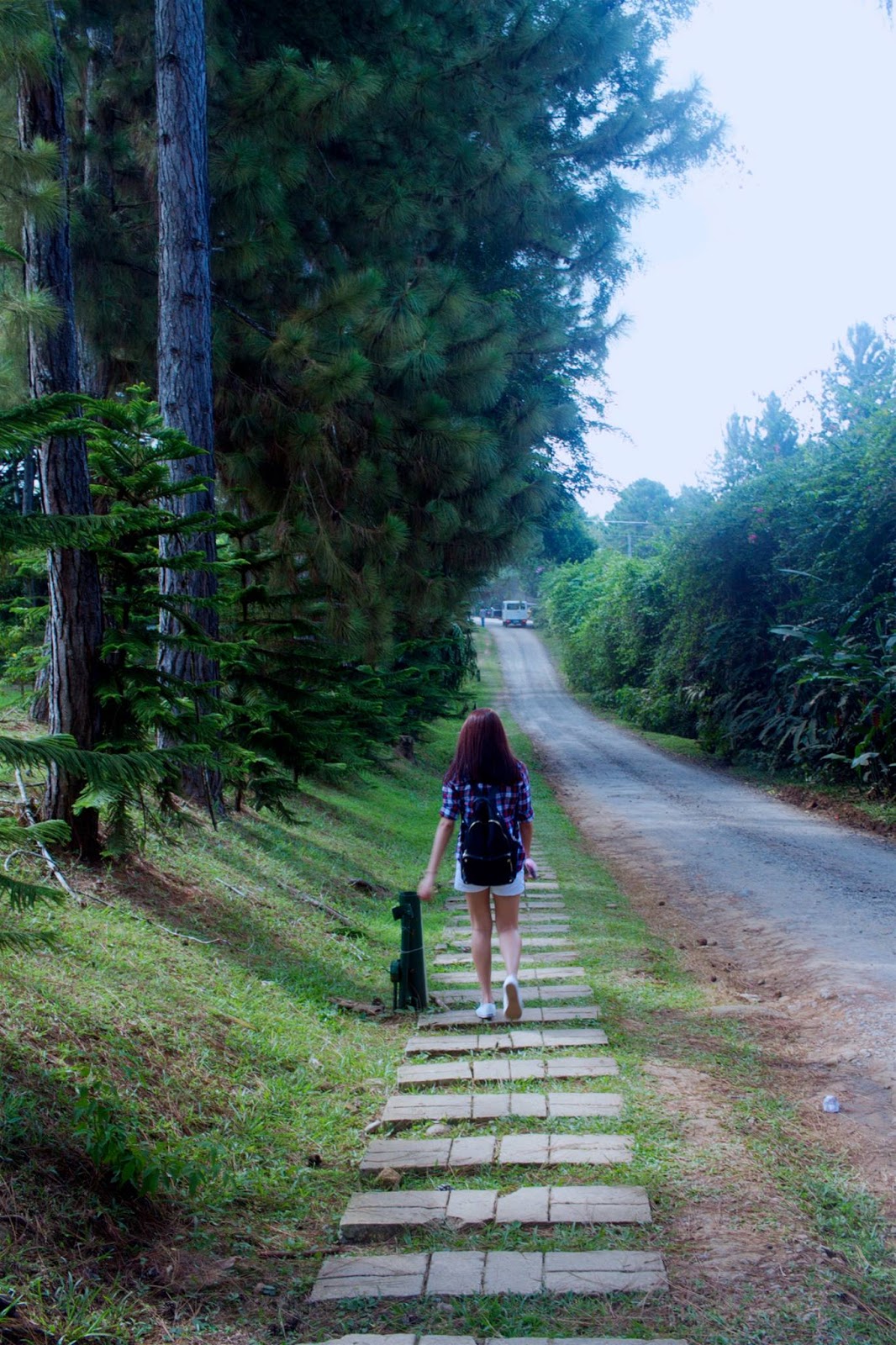 Day Tour Eden Nature Park Sealedsuitcase