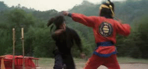 ninja-in-the-dragon%2527s-den-fight-cult-movies-download.gif