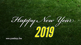 Different colour 2019 font Happy New Year greetings