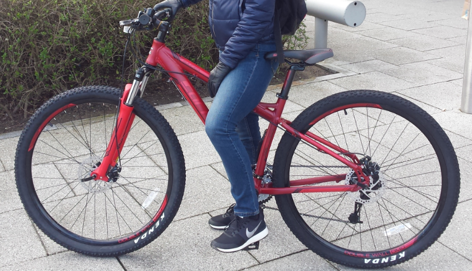 silver carrera sulcata