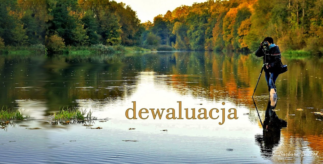 dewaluacja blolg