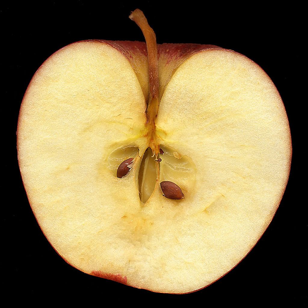 apple-half.jpg