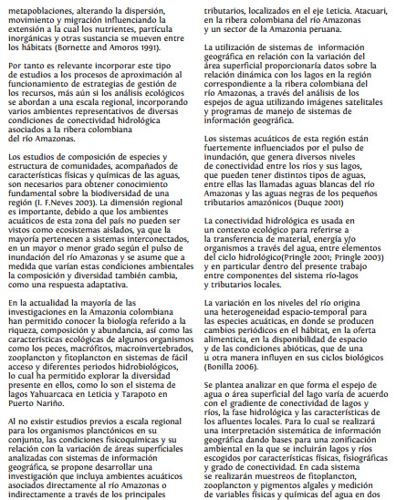 Ensayo De El Caballero De La Armadura Oxidada Pdf