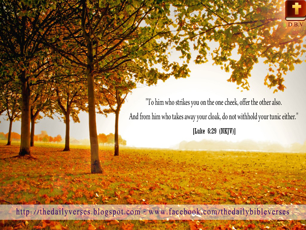 Daily Bible Verses Luke 6 29