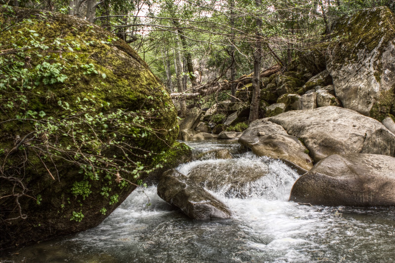 Scandrette Photography Arroyo Seco 2