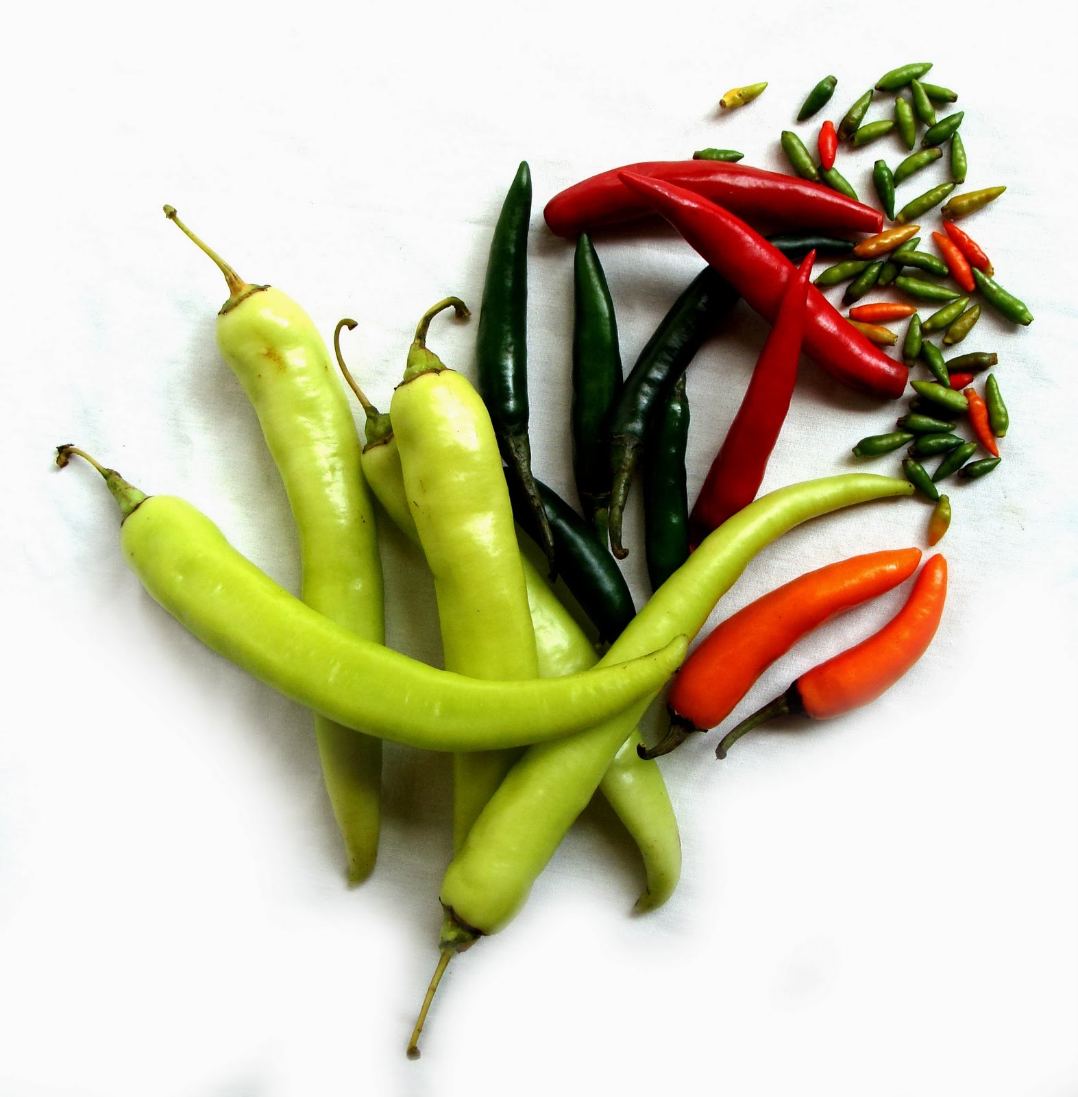 . History of Chili (Capsicum)