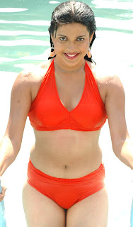 Masala actress Nicole in bikini 3