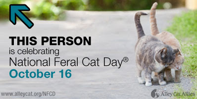 Anakin The Two legged cat supports National Feral Cat Day