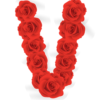 Abecedario de Rosas Rojas. Red Roses Alphabet.