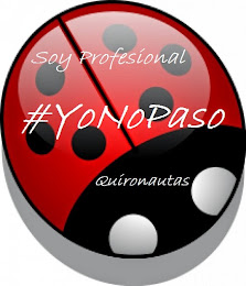 Iniciativa #YoNoPaso