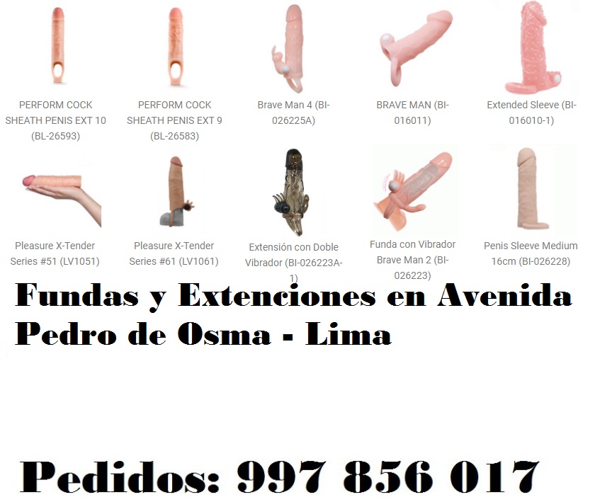 en Avenida Pedro de Osma - Lima