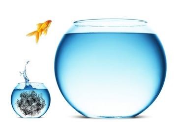 siete ideas que, por un lado, vienen a resumir muchas actitudes necesarias en el líder y, por otro lado, vienen a definir las prácticas necesarias para que el liderazgo sea efectivo.