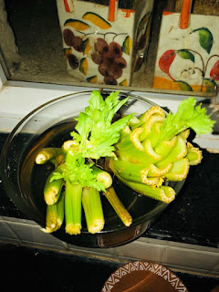 Celery Stalk