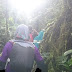 Pengalaman ke Gunung Nuang melalui Pangsun, Hulu langat
