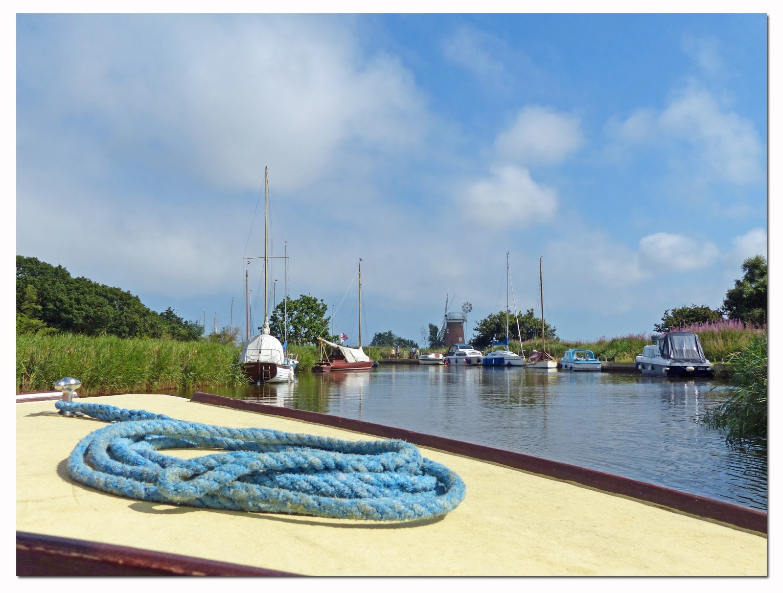Wild and Wonderful Broadland Wildlife Cruise on Horsey Mere