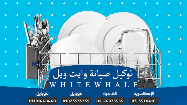 صيانة وايت ويل بالاسكندرية