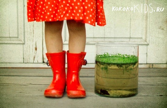 Великолепные идеи для детей на дачном участке.