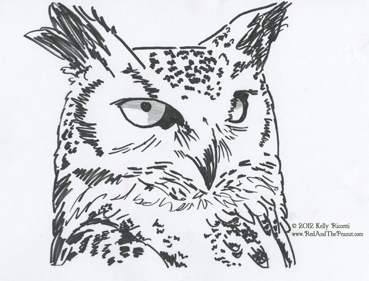 Red and the Peanut: Painting a Great Horned Owl...and experimenting