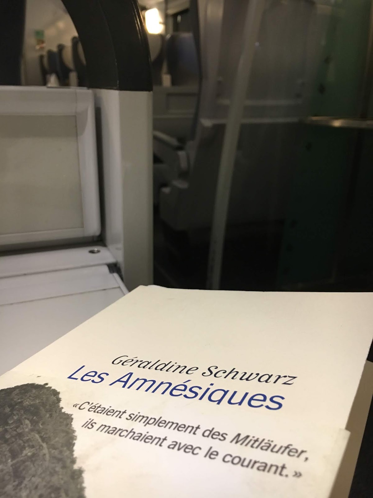 Romanthé Les amnésiques, Géraldine Schwarz