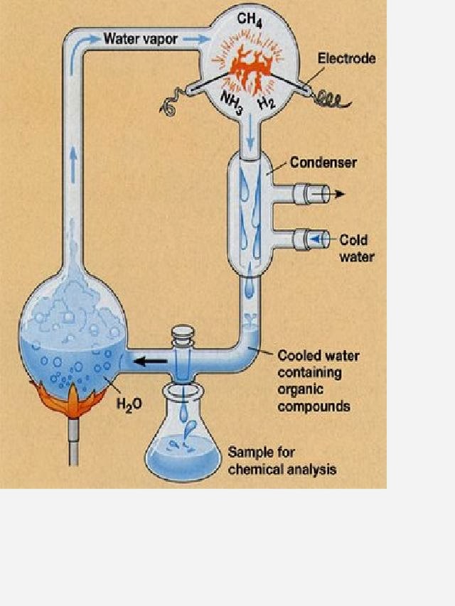 Teoria oparin o de la evolucion quimica