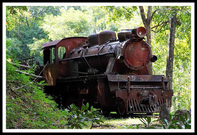 tren birmania locomotora abandonada