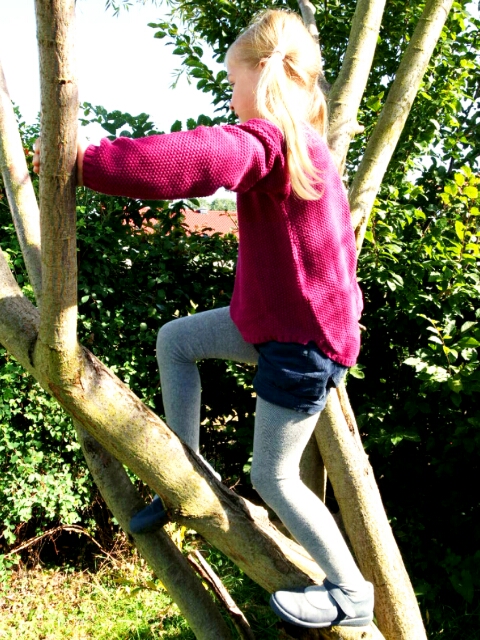 Tnms Bad Leonfelden Guten Morgen