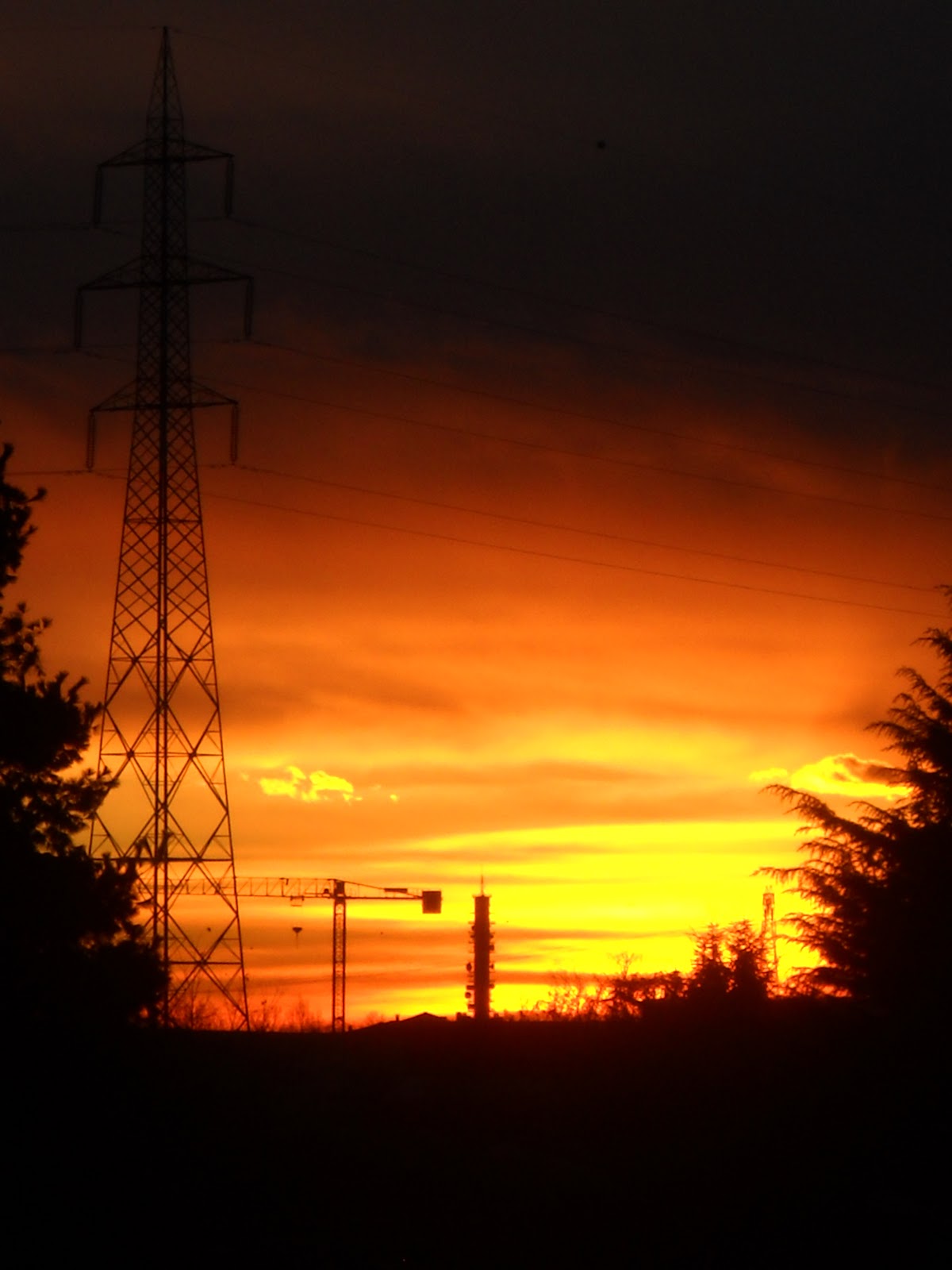 magazìn Falò di S. Antonio 17 Gennaio 2012