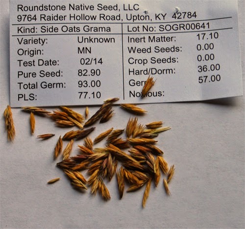 Seed Box - Roundstone Native Seed Company