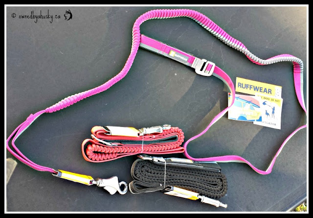 Huskies Love Ruffwear Roamer™ Dog Leashes