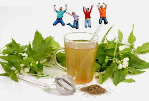 ماء الشعير في علاج حصى الكلى علاج الحصوات بالاعشاب اقوى تركيبة عالميا خبير الاعشاب