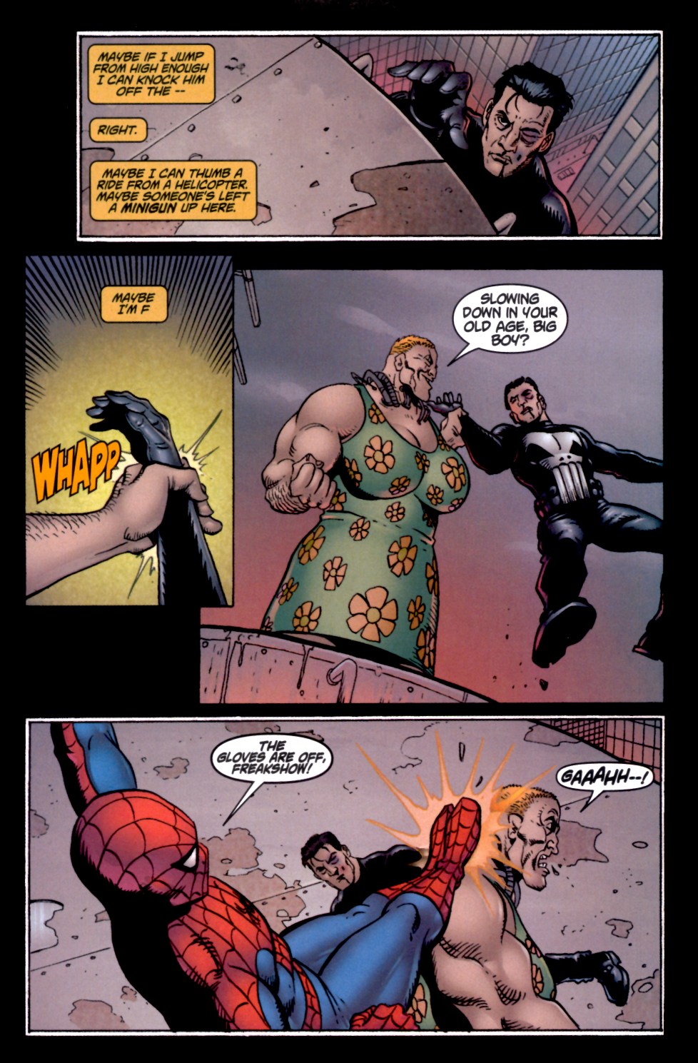 Read online The Punisher (2001) comic -  Issue #2 - Does Whatever a Spider Can - 14
