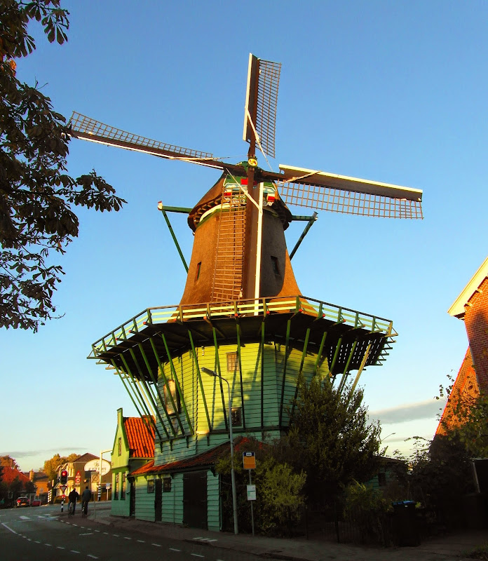 Ámsterdam en 3 días - Blogs de Holanda - Día 2: Free Tour Amsterdam - Zaanse Schans (11)