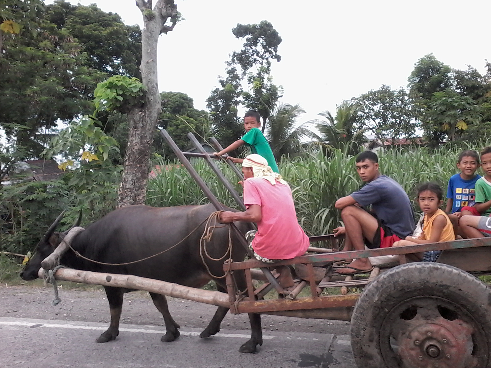 Called to Serve in the Philippines Bacolod Mission