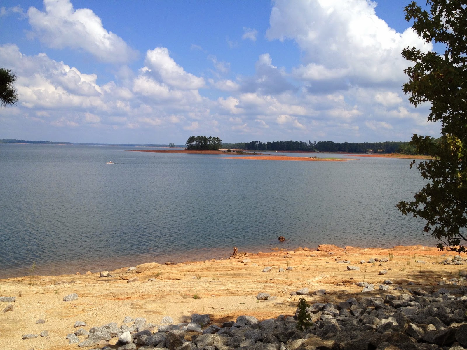 Butterstone Clarks Hill Lake