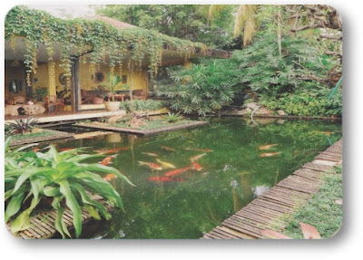 Alam Indah Flowers: KOLAM KOI IDEAL