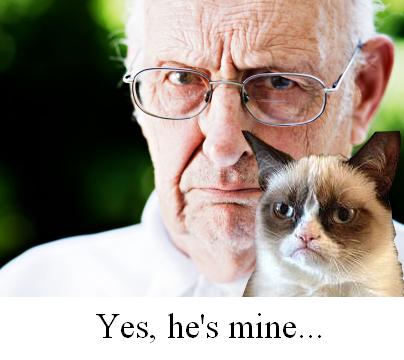 Funny Grumpy Cat Owner Picture