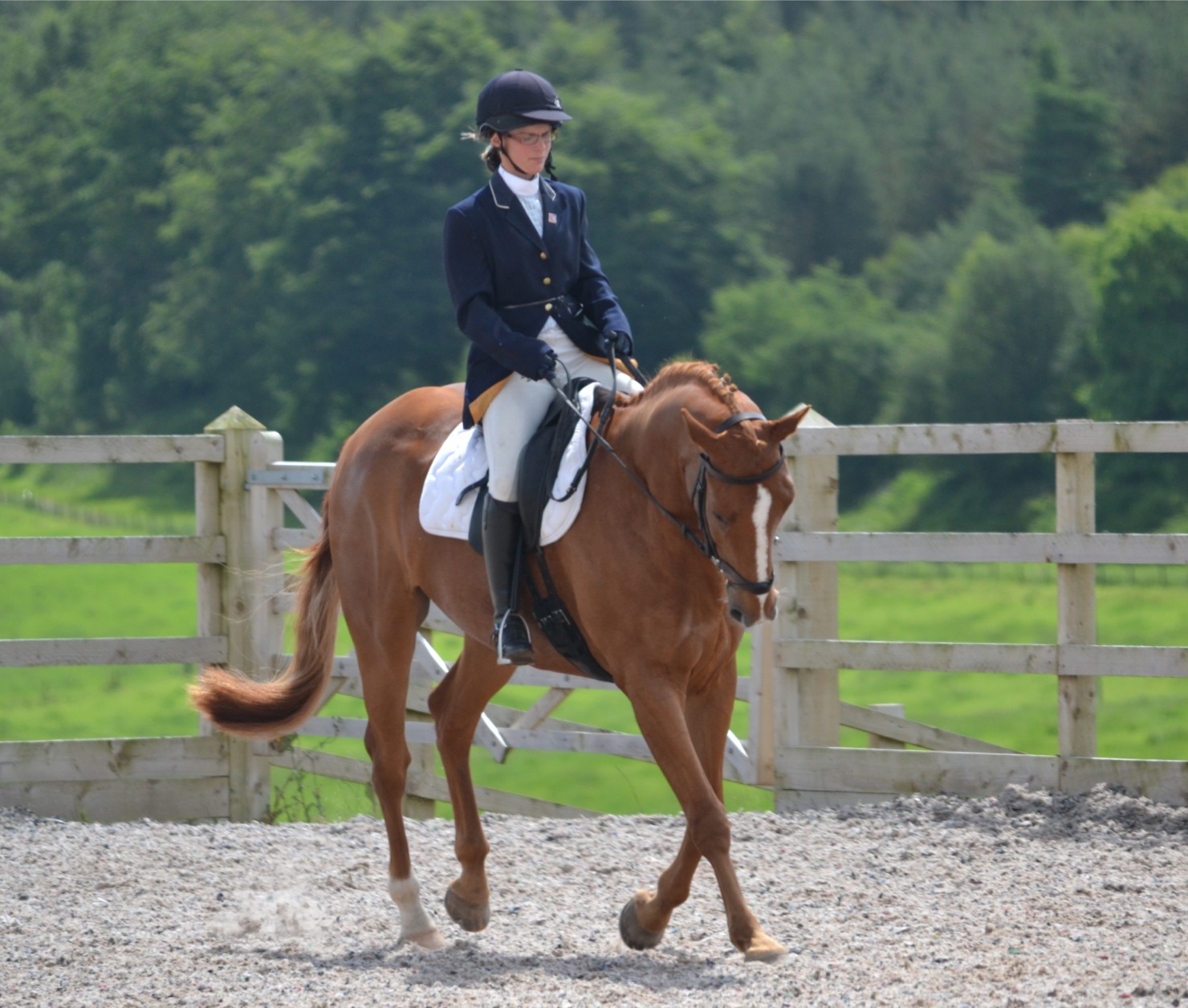 Claire Margreth Professional Horse Rider and Trainer Cheshire