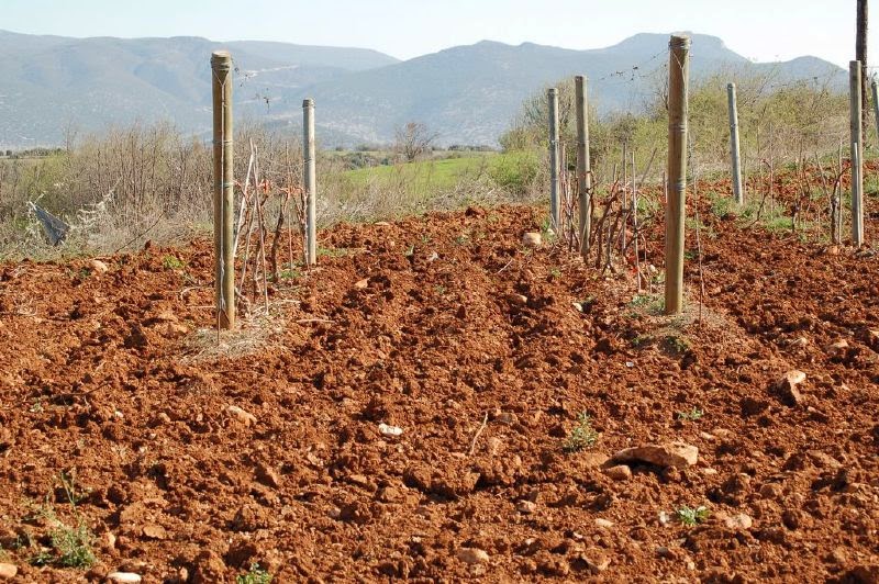 Siembra Orgánica Tipos de Suelo