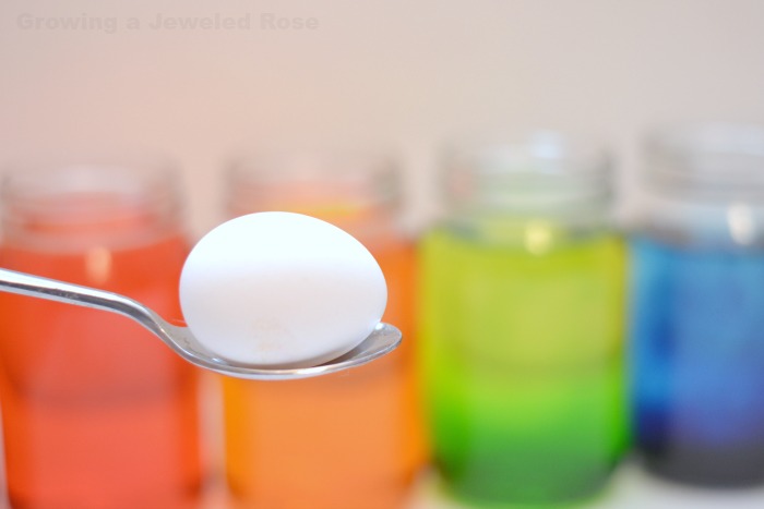 RAINBOW EGG EXPERIMENT: one of the coolest experiments we have ever tried! You won't believe the results! RAINBOW EGG EXPERIMENT: one of the coolest experiments we have ever tried! You won't believe the results!